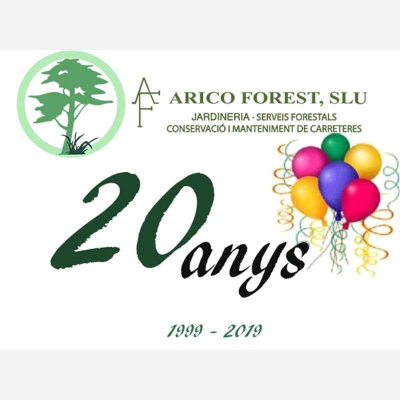 2019, veinte años de historia de la empresa ARICO FOREST